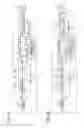 Fig. 04 - Fuel injection valve