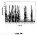 Fig. 09 - Systems and methods for recognizing sound and music signals in high noise and distortion