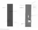 Fig. 19 - Controlled inventory refrigerated dispensing system