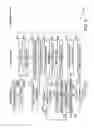 Fig. 09 - Online purchase processing system and method