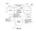 Fig. 23 - Selective carrying out of scheduled control operations by an intelligent controller
