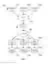 Fig. 02 - REAL-TIME BIOMETRIC DATABASE AND TEMPLATE MANAGEMENT