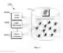 Fig. 06 - REAL-TIME BIOMETRIC DATABASE AND TEMPLATE MANAGEMENT
