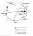 Fig. 01 - Method and arrangement for the supervision of transactions in a peer-to-peer overlay network