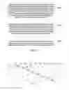 Fig. 14 - Coding and decoding method, apparatus, and system for forward error correction
