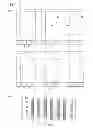Fig. 06 - Displaying a document file target area based on history of display settings