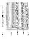 Fig. 03 - P0 gene silencing constructs and use