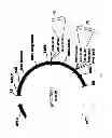 Fig. 06 - P0 gene silencing constructs and use