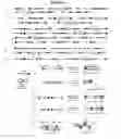 Fig. 07 - Temporal regulation of gene expression by microRNAs