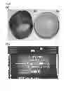 Fig. 07 - Nanometer standard prototype and method for manufacturing nanometer standard prototype