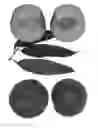 Fig. 02 - Peach tree named 'RICH PRIDE'