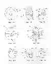 Fig. 04 - SYSTEMS FOR MOVING SHOWER RODS