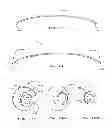 Fig. 09 - SYSTEMS FOR MOVING SHOWER RODS
