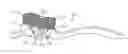 Fig. 01 - Oral care implement having flexibly supported cleaning elements extending in opposite directions