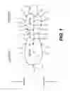 Fig. 02 - Abbreviated toothbrush handle