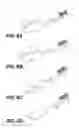 Fig. 09 - Abbreviated toothbrush handle