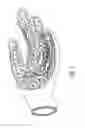 Fig. 04 - Rectal cleaning device