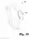 Fig. 14 - Multi-function hook and carabineer