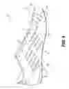 Fig. 10 - Footwear upper having selectively located padding