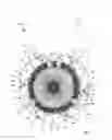Fig. 04 - Trapping device with joining means
