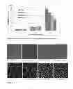 Fig. 02 - COMPOSITION