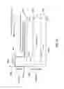 Fig. 17 - METHOD AND APPARATUS FOR THERMOELECTRIC COOLING OF FLUIDS