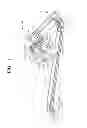 Fig. 03 - Differential member