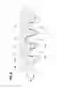Fig. 06 - WORM GEAR MECHANISM