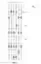 Fig. 03 - SYSTEMS AND METHODS FOR PROVIDING NAVIGATIONAL MARKS ON A STRINGED INSTRUMENT FINGERBOARD