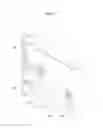 Fig. 09 - Convection cooking apparatus