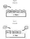 Fig. 07 - Substrate processing apparatus