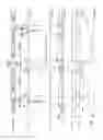 Fig. 07 - Control device for internal combustion engine