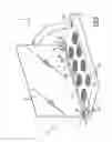 Fig. 06 - DISPLAY CASE FOR POWDERED PRODUCTS COMPRISING A LID AND AT LEAST ONE DEVICE FOR BRAKING THE MOVEMENT OF THE LID