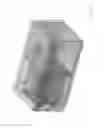 Fig. 02 - Dishwasher with permanent storage compartment