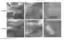 Fig. 01 - NANOPARTICLE COMPACT MATERIALS FOR THERMOELECTRIC APPLICATION