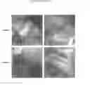 Fig. 07 - NANOPARTICLE COMPACT MATERIALS FOR THERMOELECTRIC APPLICATION