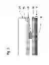 Fig. 04 - BACK-PROTECTIVE SHEET FOR SOLAR CELL MODULE AND SOLAR CELL MODULE USING SAME