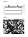 Fig. 02 - PASTE COMPOSITION FOR FRONT ELECTRODE OF SOLAR CELL AND SOLAR CELL USING THE SAME