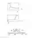 Fig. 05 - Elongate tape and method of producing same