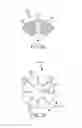 Fig. 19 - Magnetically guided catheters