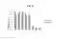 Fig. 07 - Method of formation of compression-bonded structure