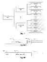 Fig. 08 - CHILLED BEAM DEVICES, SYSTEMS, AND METHODS