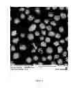 Fig. 32 - Methods for fracturing subterranean formations