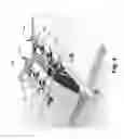 Fig. 05 - Centrifugal de-clutch