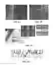 Fig. 08 - Damascene template for directed assembly and transfer of nanoelements