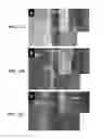 Fig. 28 - Damascene template for directed assembly and transfer of nanoelements