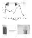Fig. 04 - Photoconversion of light using metal supported atomic quantum clusters