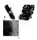 Fig. 04 - Process for the synthesis of magnetically recoverable, high surface area carbon-FeOnano-composite using metal organic framework (MOF)