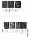 Fig. 06 - Process to obtain random copolymers derived from itaconic acid and/or its isomers and sodium alkenyl sulfonates and use of the product thereof