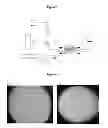 Fig. 08 - Process to obtain random copolymers derived from itaconic acid and/or its isomers and sodium alkenyl sulfonates and use of the product thereof